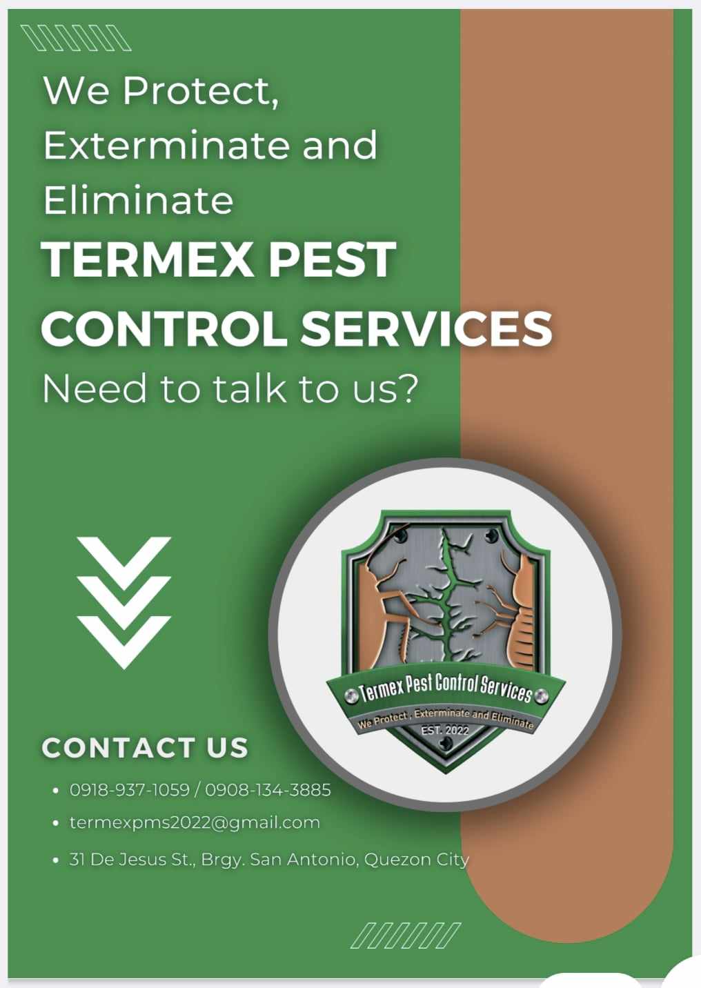 Termex featured service 9