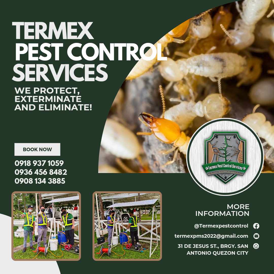 Termex featured service 10