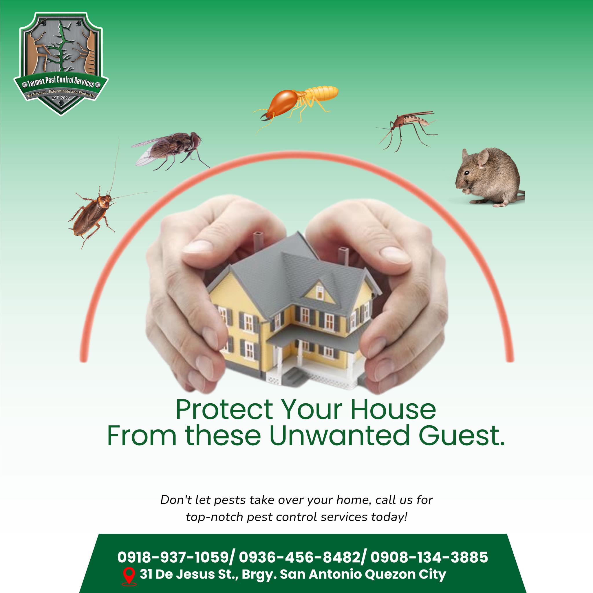 Termex featured service 11