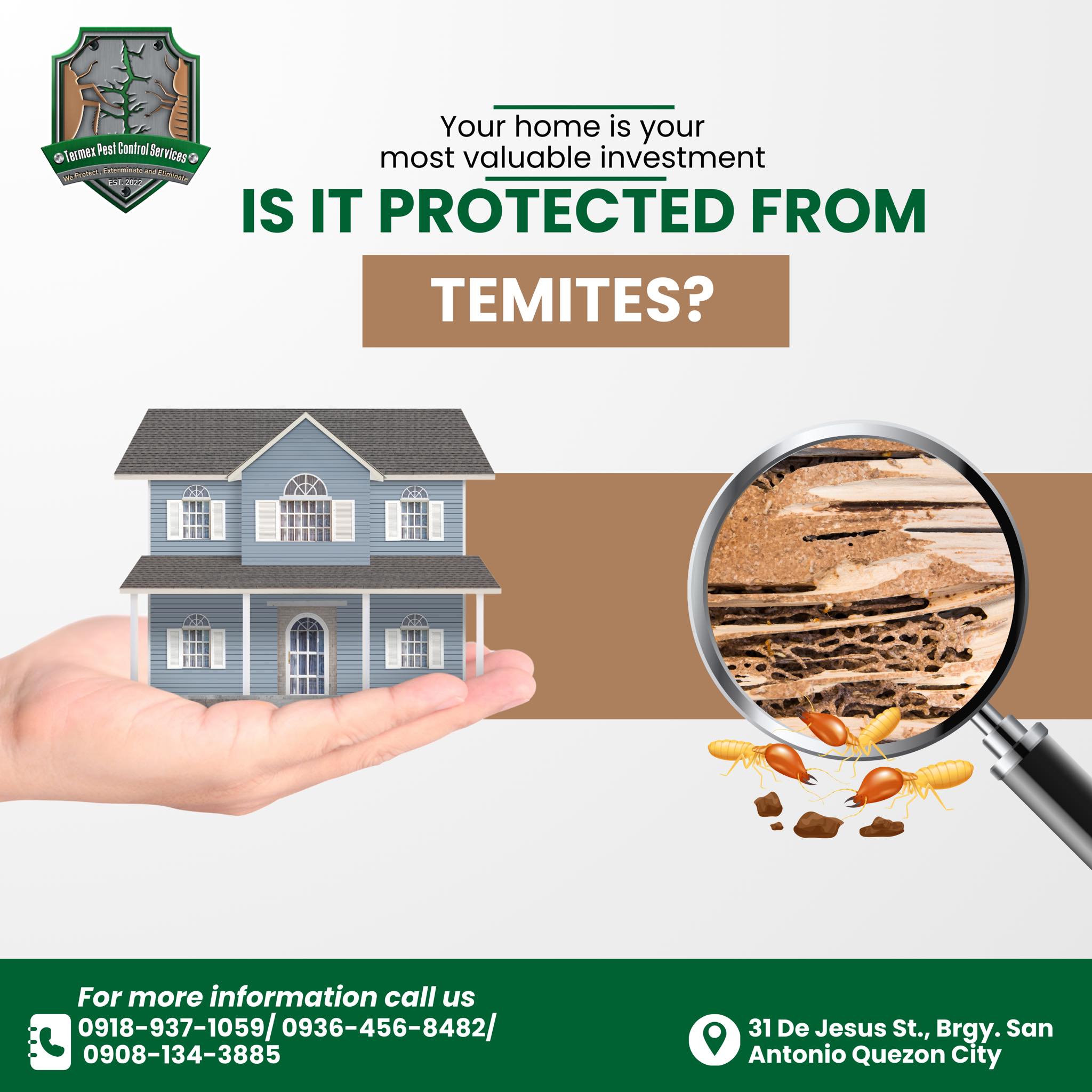 Termex featured service 8